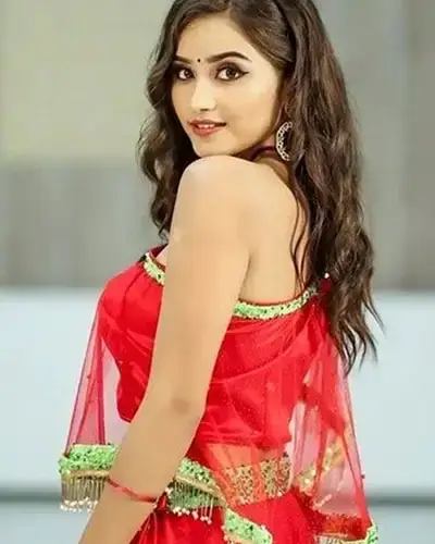 Call Girls Service Viratnagar